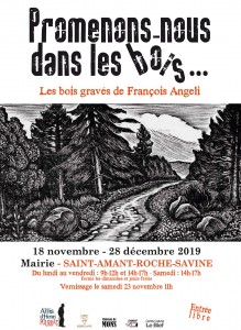 A6 ANGELI StARS sans TC