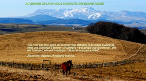 AUVERGNE LYON BONNE ANNEE 2020