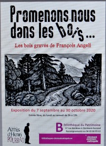 PROMENONS NOUS DANS LES BOIS  (4)